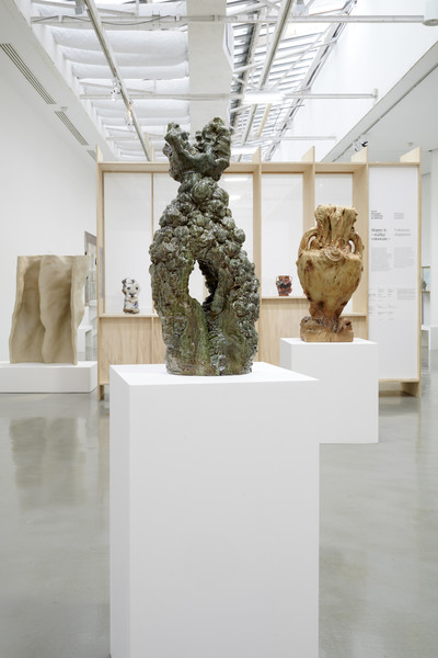 Exhibition view, Musée d'Art Moderne de Paris - © Mennour