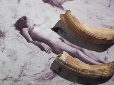Collection Préhistorique (Femme au bain de soleil et dents d'hippopotame) - © Mennour
