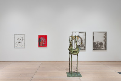 Exhibition view, Goldsmiths CCA, London - © Mennour