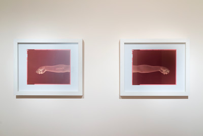 Exhibition view, Fondation Boghossian – Villa Empain, Brussels - © Mennour