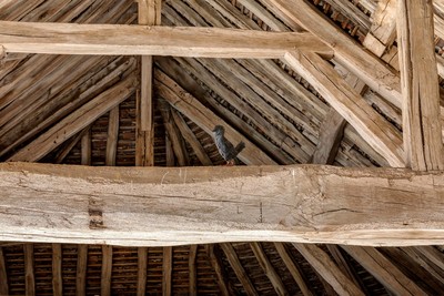 Exhibition view, Château du Fey - © Mennour