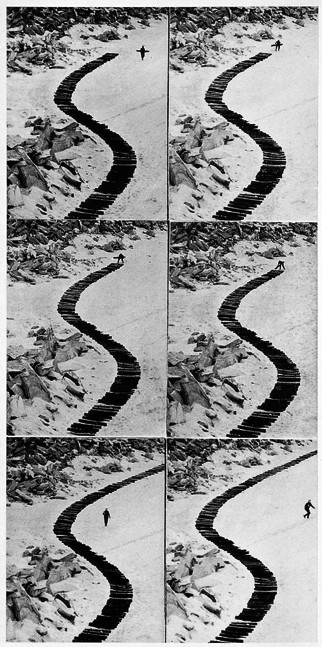 Continuation d'un chemin de bois - © Mennour