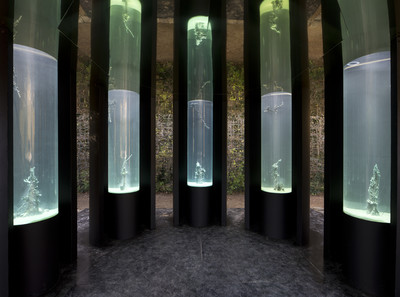 Exhibition view, Château de Versailles - © Mennour