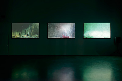 Exhibition view, Micro Onde, Vélizy-Villacoublay - © Mennour