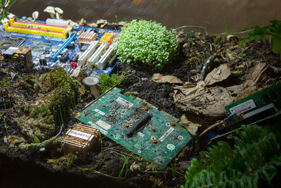 Terre future, apr&egrave;s la pluie - © Mennour