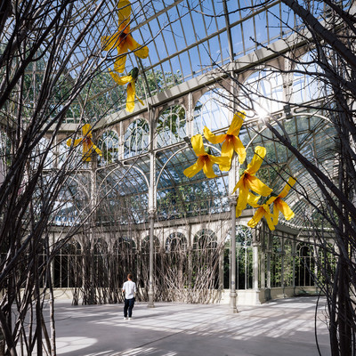 With Alvaro Urbano, 27th of March 2012 (Forsythias) - © Mennour