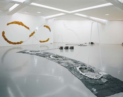 Exhibition view, Musée d’Art Moderne et d’Art Contemporain, Nice - © Mennour