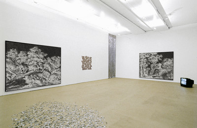 Exhibition view, Kunsthaus Zurich - © Mennour