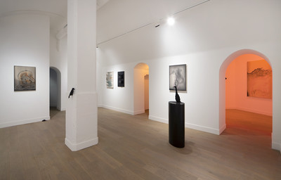 Carte blanche - Camille Henrot, Elizabeth Jaeger &amp; Estelle Hoy - © Mennour