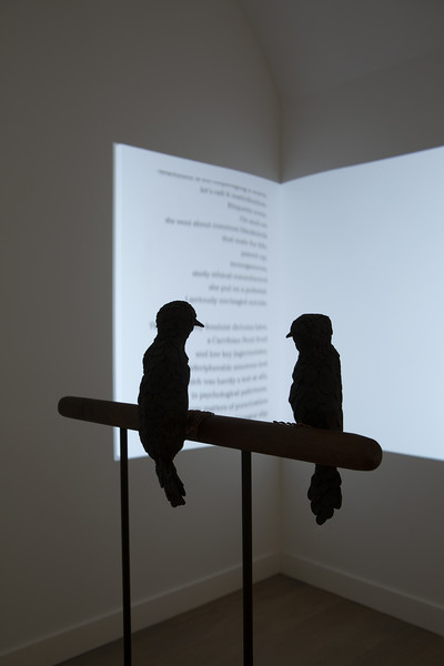 Carte blanche - Camille Henrot, Elizabeth Jaeger &amp; Estelle Hoy - © Mennour