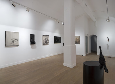 Carte blanche - Camille Henrot, Elizabeth Jaeger &amp; Estelle Hoy - © Mennour