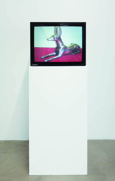 Camille Henrot
Egyptomania, 2009
Color video
20 min
© Camille Henrot
Photo. Fabrice Seixas
Courtesy the artist and kamel mennour, Paris - © Mennour