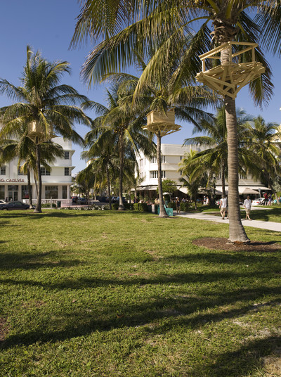 Art Basel Miami Beach 2008 | Art Projects - © Mennour