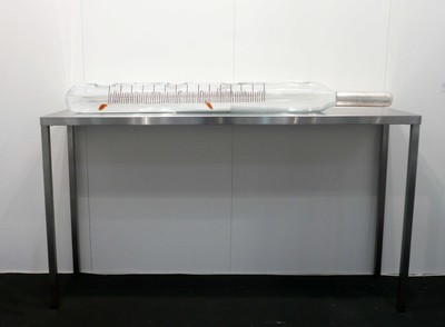 Artissima 2008 - © Mennour