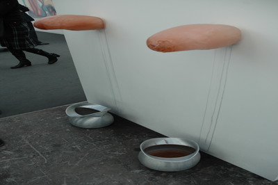 FIAC 2007 - © Mennour