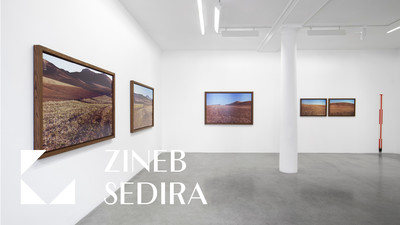 ZINEB SEDIRA &mdash; L&#039;&Eacute;criture des lignes - © Mennour