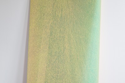 Ann Veronica Janssens - Kunsthalle Nurnberg - © Mennour