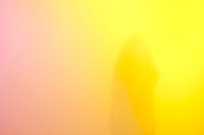 Ann Veronica Janssens - Louisiana - © Mennour