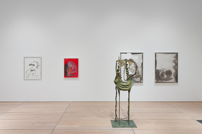 Camille Henrot - Goldsmiths CCA - © Mennour
