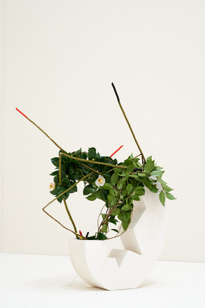 Camille Henrot - Tokyo Opera City Art Gallery - © Mennour