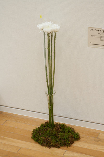 Camille Henrot - Tokyo Opera City Art Gallery - © Mennour