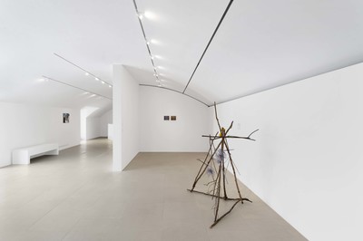 Camille Henrot - Villa Carmignac - © Mennour