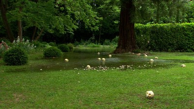 Douglas Gordon, Îles flottantes, (If Monet Met Cézanne, in Montfavet), 2008. Video Installation. Dimensions variable. © Studio lost but found/VISDA - © Mennour