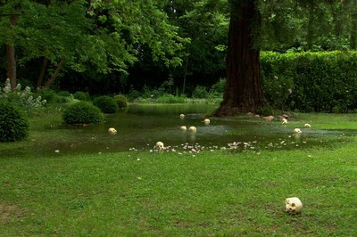 Douglas Gordon, Îles flottantes, (If Monet Met Cézanne, in Montfavet), 2008. Video Installation. Dimensions variable. © Studio lost but found/VISDA - © Mennour