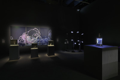 Hicham Berrada
Exhibition view "La Fabrique du vivant". Centre Pompidou, Galerie  4. - © Cr&eacute;dit photo : Centre Pompidou/Philippe Migeat
Courtesy the artist and kamel mennour, Paris/London, Mennour