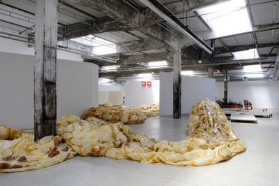 Huang Yong Ping - HAB Galerie - © Mennour