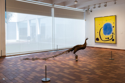 Petrit Halilaj - Fundació Joan Miró - © Mennour