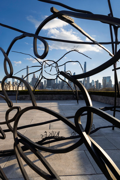 Petrit Halilaj - The Metropolitan Museum of Art, New York - © Mennour