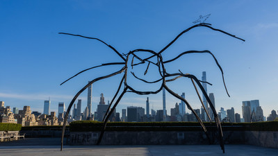 Petrit Halilaj - The Metropolitan Museum of Art, New York - © Mennour