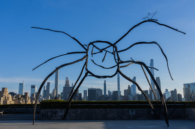 Petrit Halilaj - The Metropolitan Museum of Art, New York - © Mennour