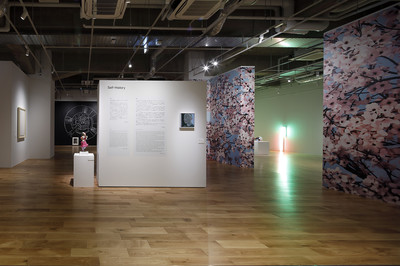 Self-History - What Museum - © Mennour