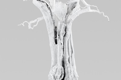 Ugo Rondinone - Hayward Gallery - © Mennour